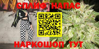 стаф Партизанск