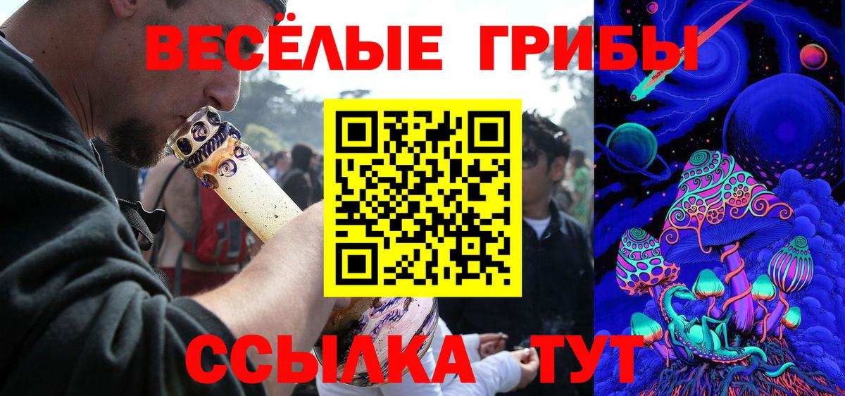Галлюциногенные грибы Psilocybine cubensis Серпухов