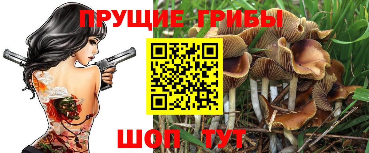 Серпухов  Псилоцибиновые грибы Psilocybine cubensis  Вход с VPN 